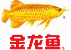 金龍魚到底是不是中國企業？為什么會入選國家品牌？