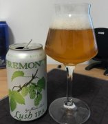 29、佛里蒙 郁郁蔥蔥 美式IPA（易拉罐）